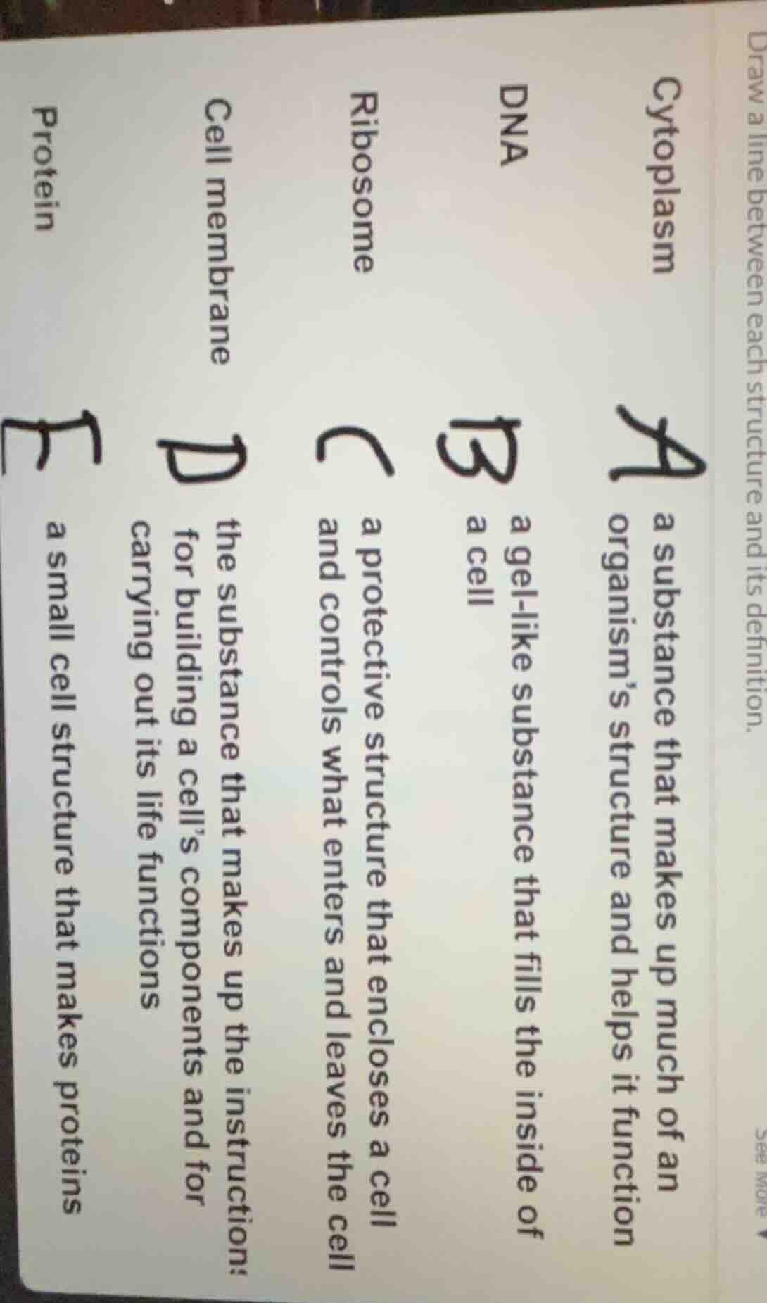draw a line between each structure and its definition. cytoplasm a a su…