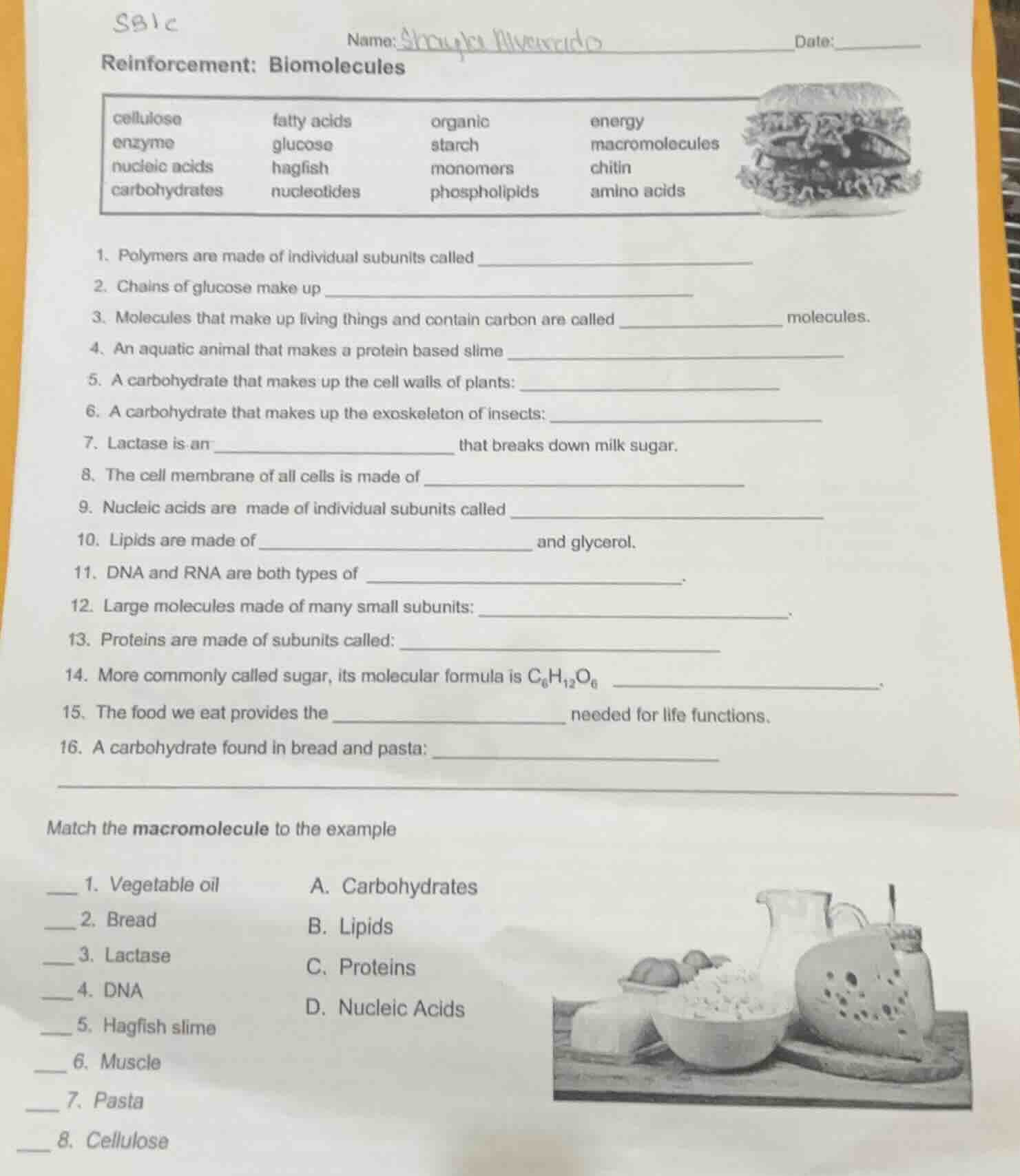 sblc name: date: reinforcement: biomolecules cellulose\tfatty acids\tor…