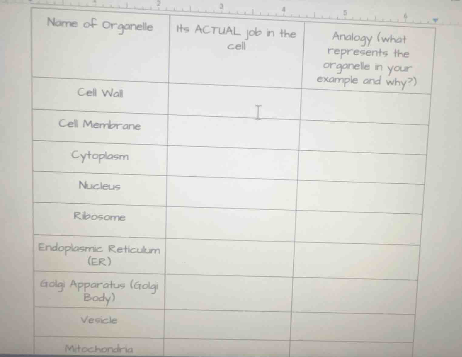 name of organelle | its actual job in the cell | analogy (what represen…