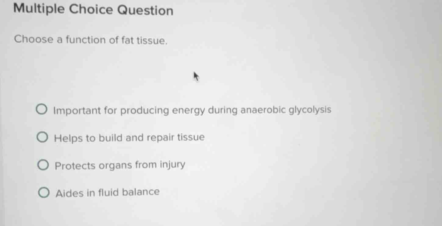multiple choice question choose a function of fat tissue. important for…