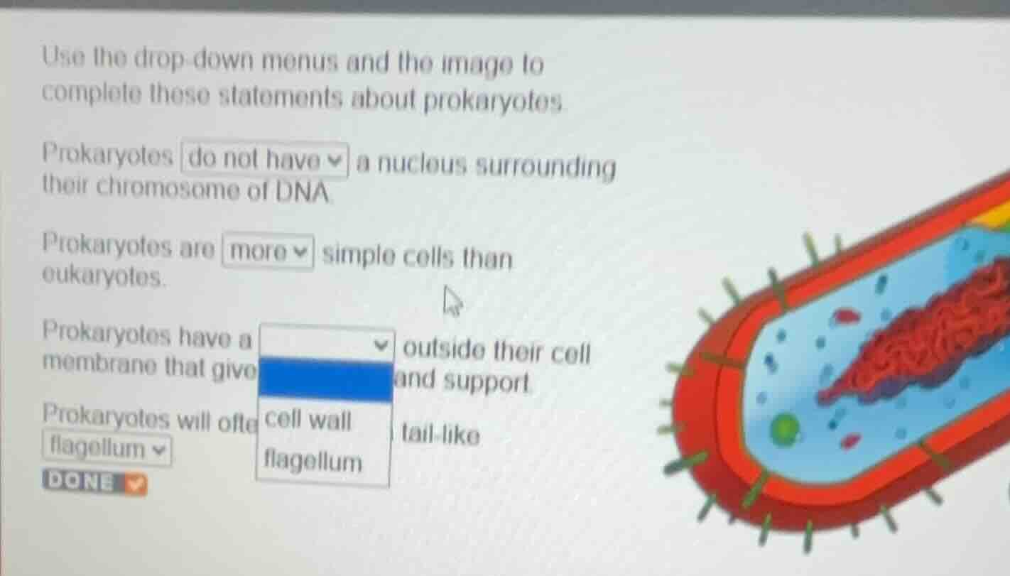 use the drop - down menus and the image to complete these statements ab…