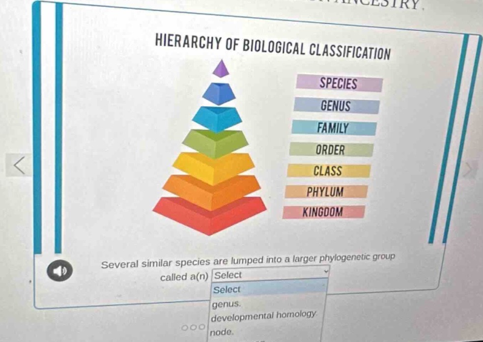 hierarchy of biological classification several similar species are lump…
