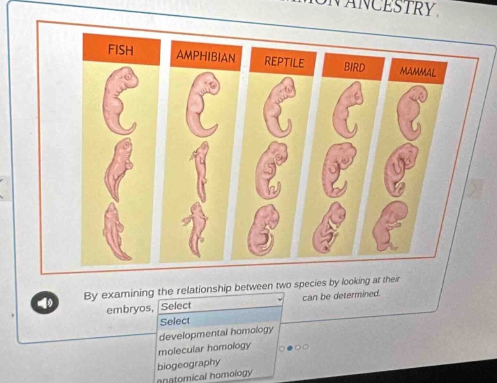 by examining the relationship between two species by looking at their e…