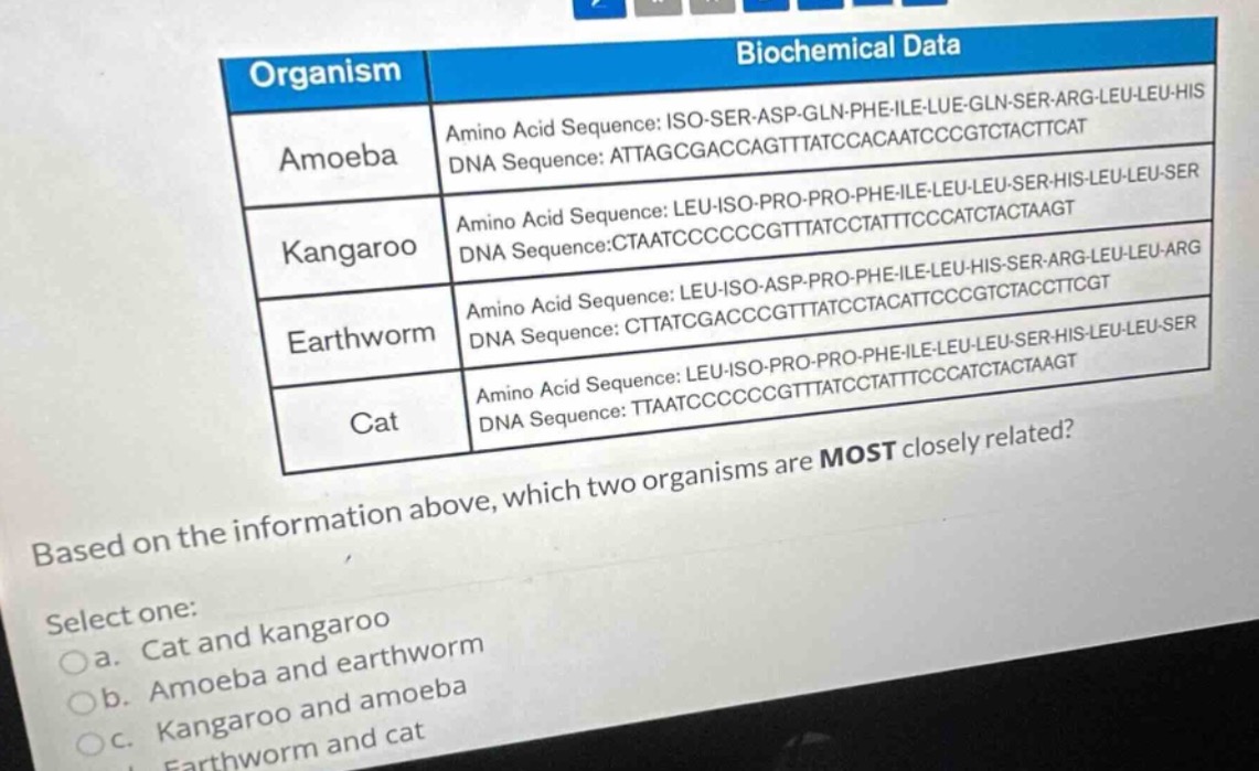 | organism | biochemical data | | --- | --- | | amoeba | amino acid seq…
