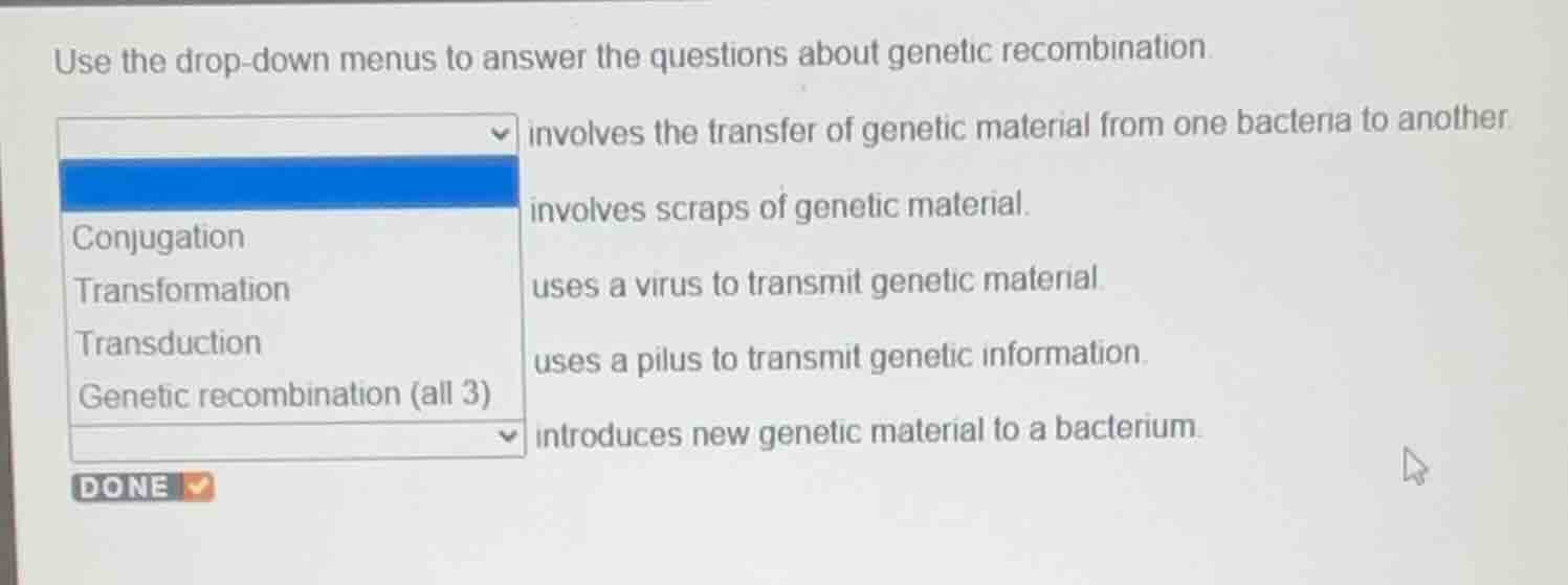use the drop - down menus to answer the questions about genetic recombi…