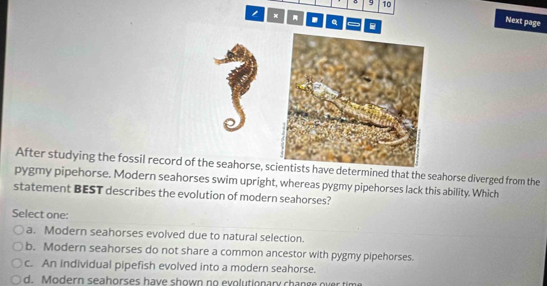 after studying the fossil record of the seahorse, scientists have deter…