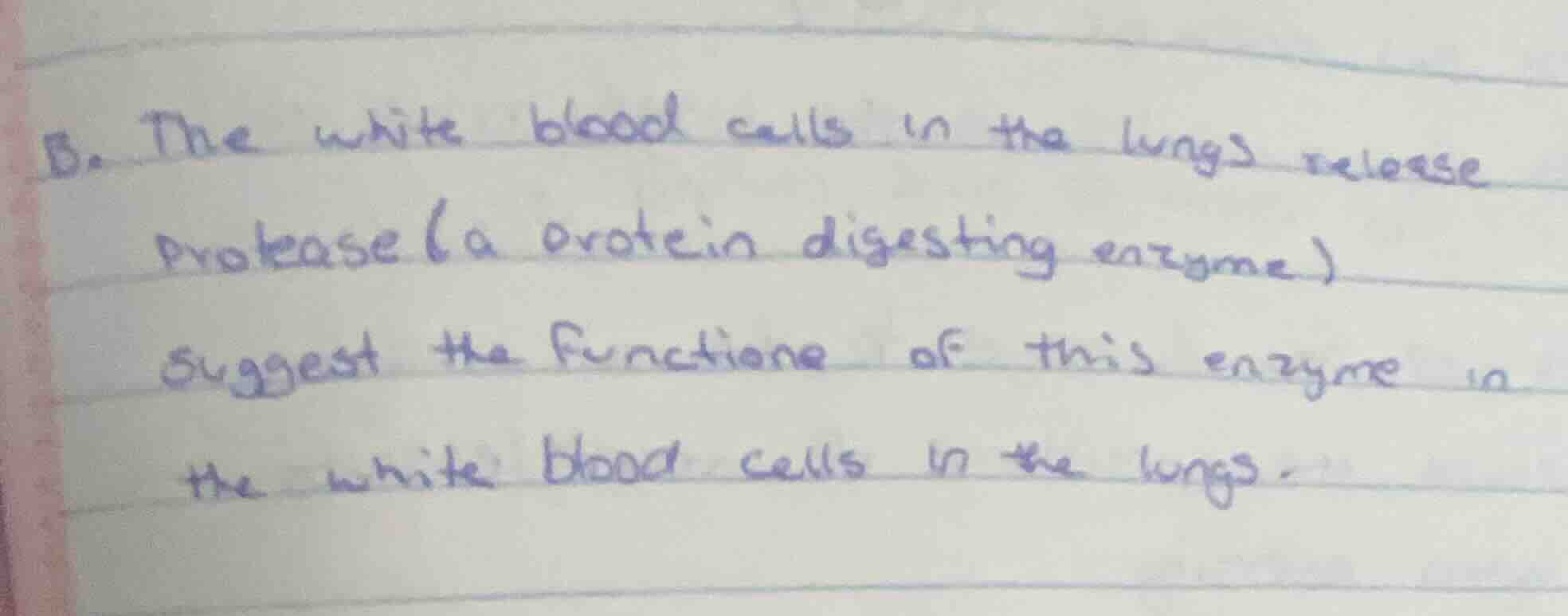 b. the white blood cells in the lungs release protease (a protein diges…