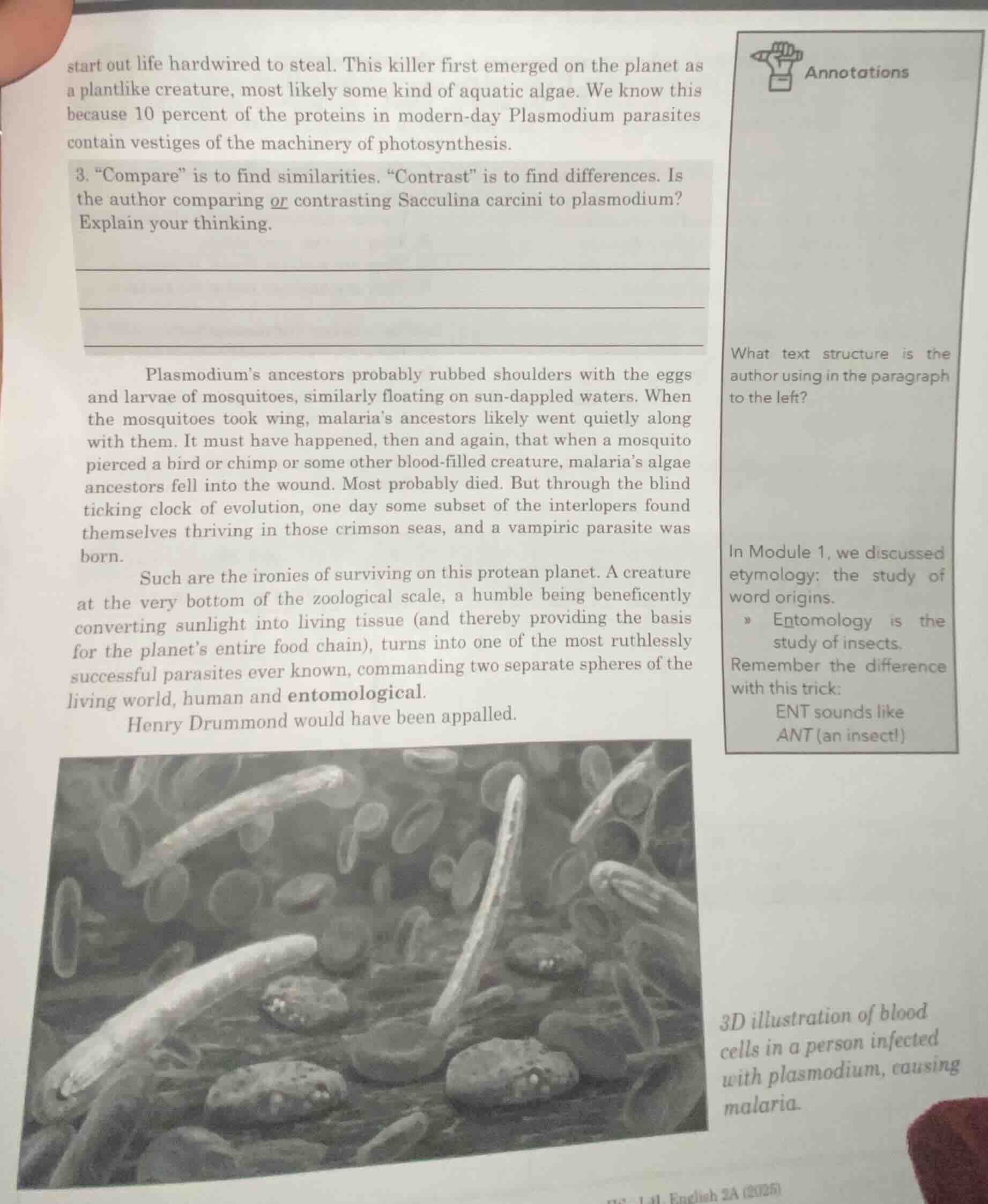 3. \compare\ is to find similarities. \contrast\ is to find differences…