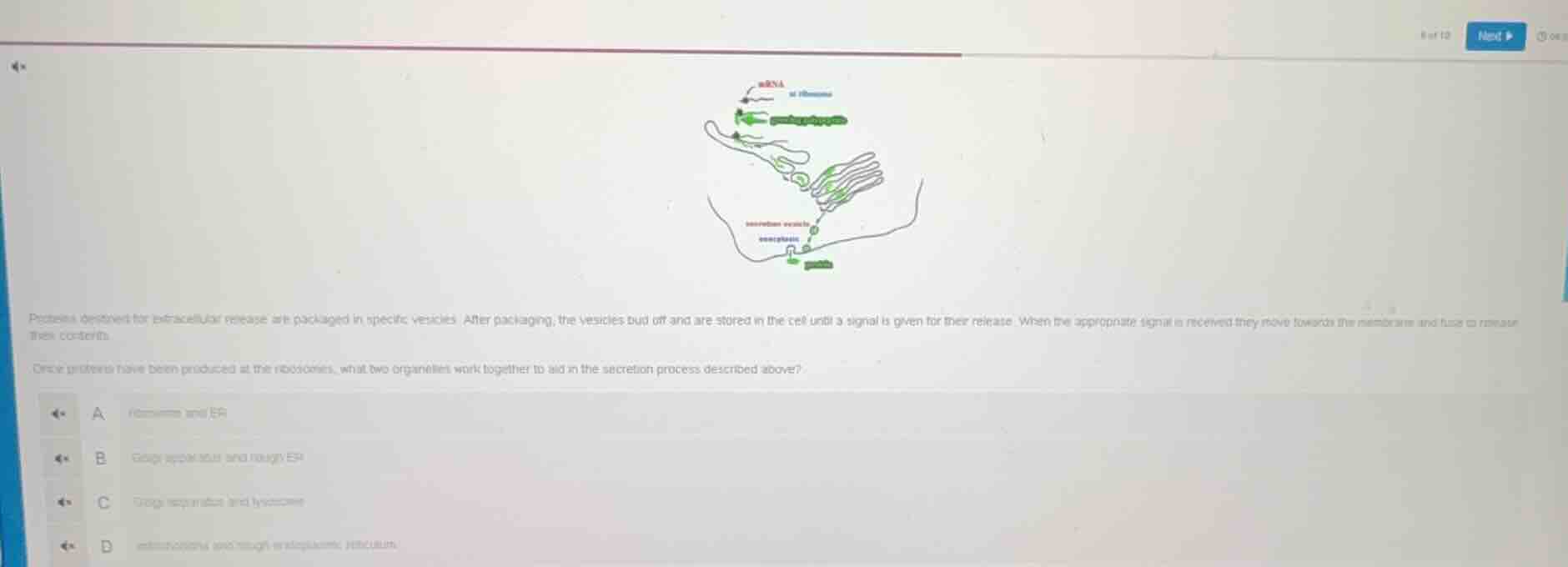 proteins destined for extracellular release are packaged in specific ve…