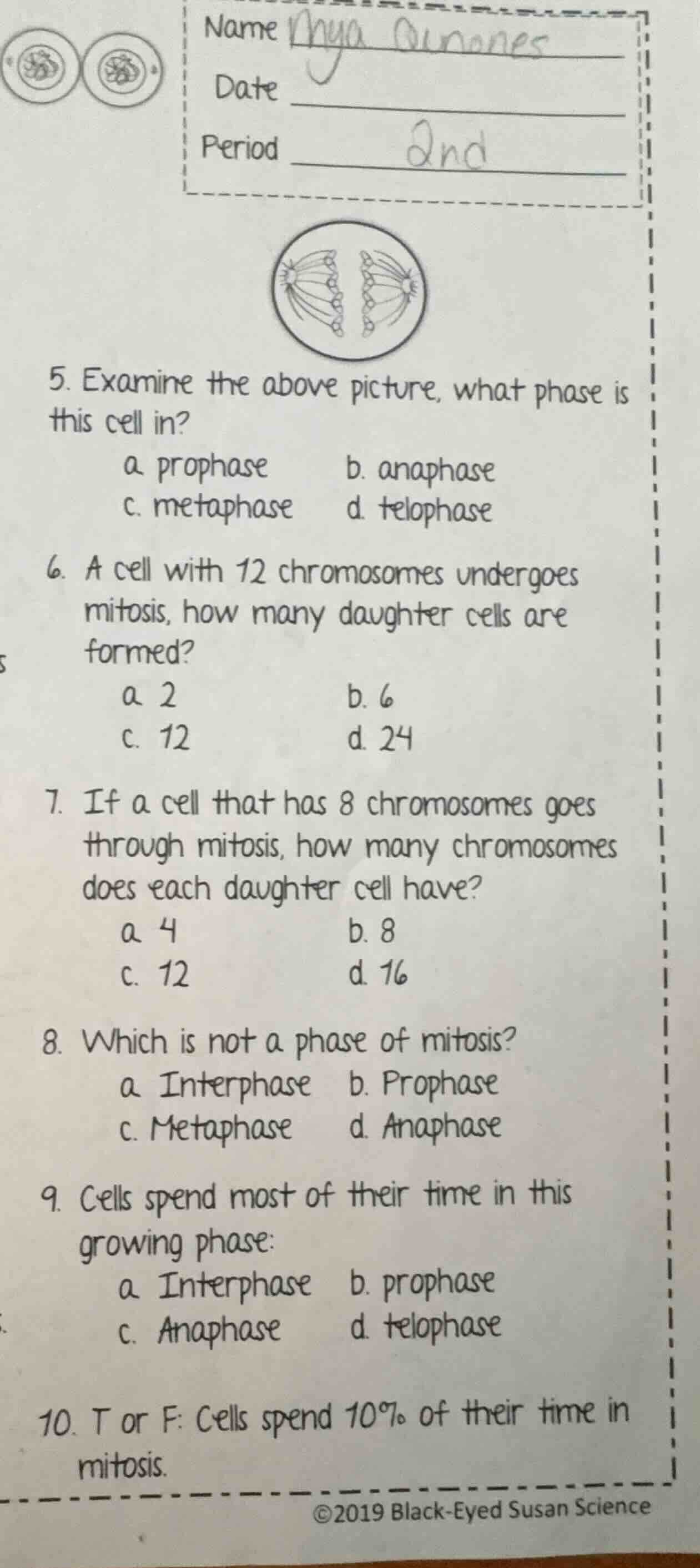 name date period 5. examine the above picture, what phase is this cell …
