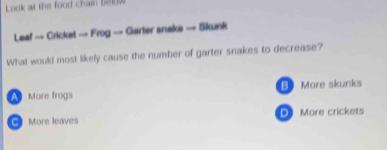 look at the food chain below leaf → cricket → frog → garter snake → sku…