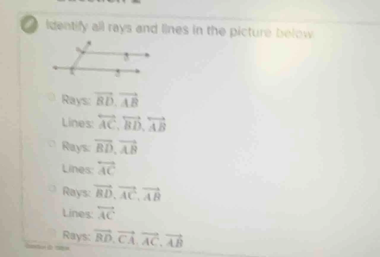 identify all rays and lines in the picture below rays: $overrightarrow{…