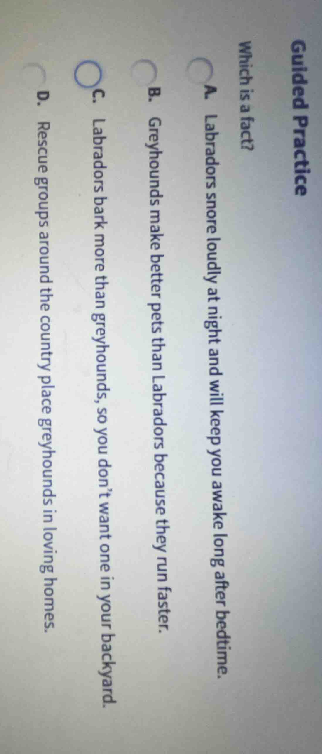 guided practice which is a fact? a. labradors snore loudly at night and…