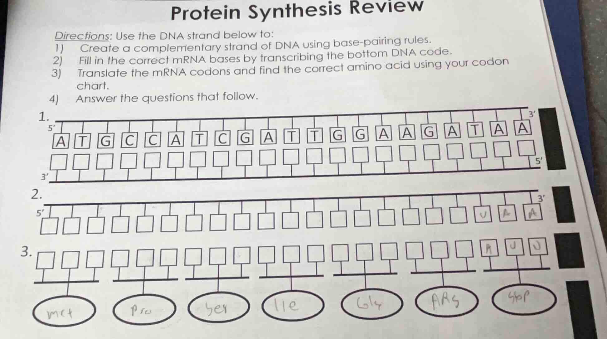 protein synthesis review directions: use the dna strand below to: 1) cr…