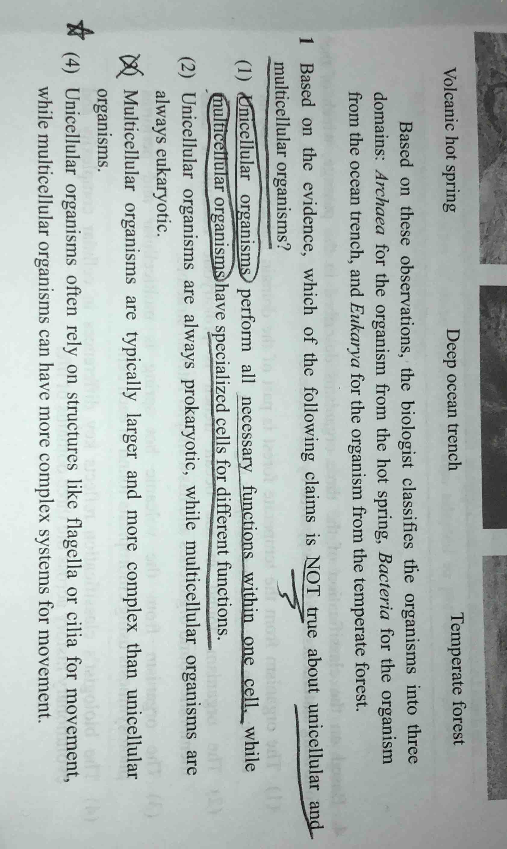 volcanic hot spring deep ocean trench temperate forest based on these o…