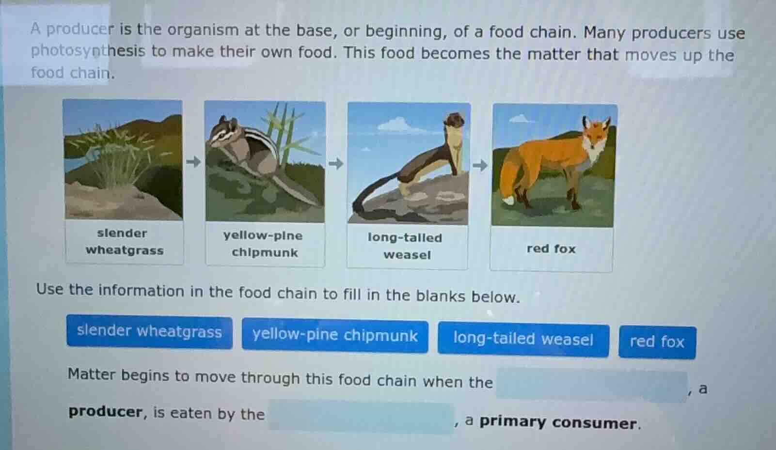 a producer is the organism at the base, or beginning, of a food chain. …