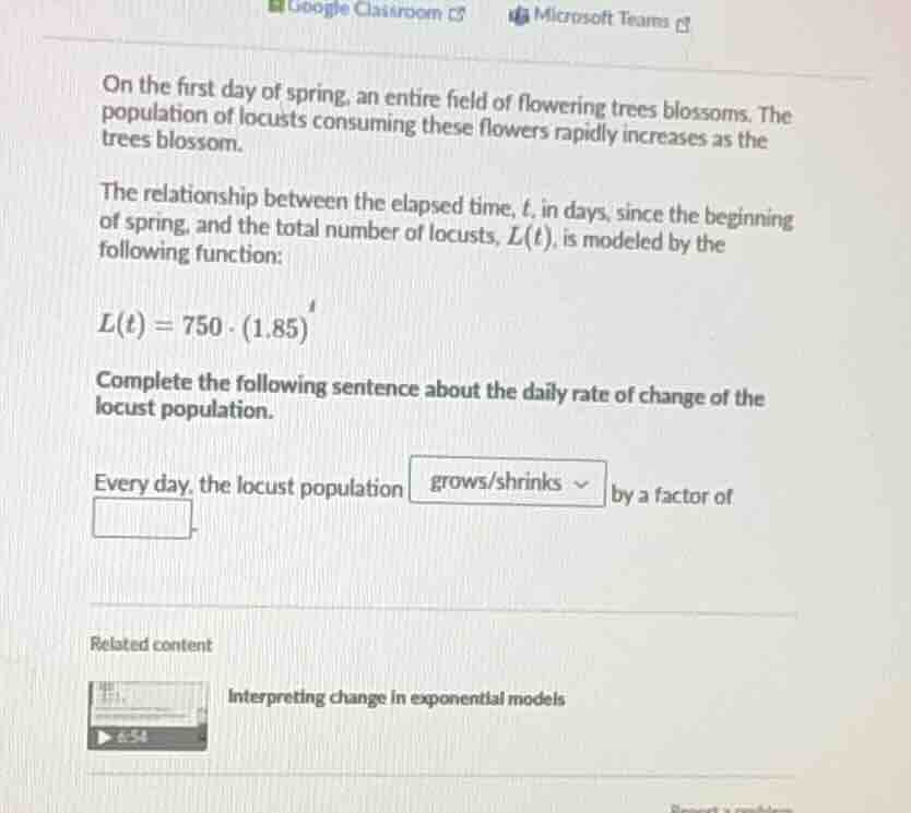 on the first day of spring, an entire field of flowering trees blossoms…