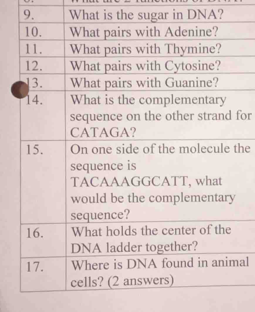 9. what is the sugar in dna? 10. what pairs with adenine? 11. what pair…