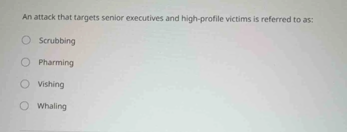 an attack that targets senior executives and high - profile victims is …