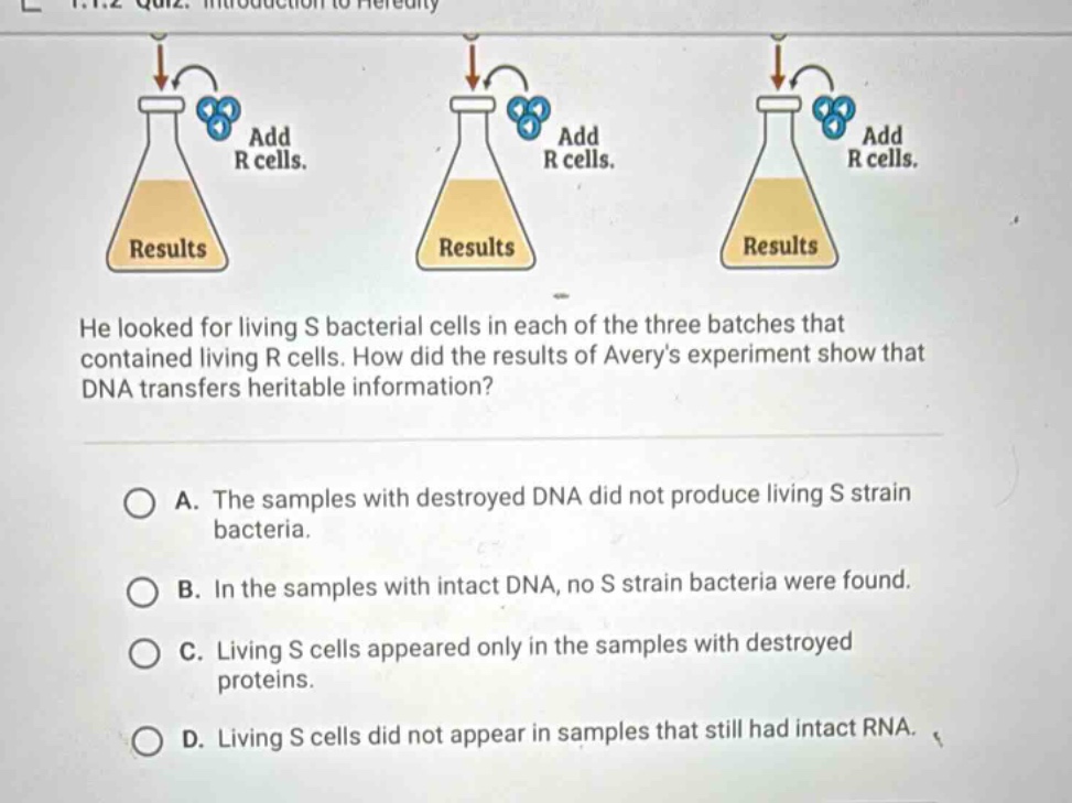 he looked for living s bacterial cells in each of the three batches tha…