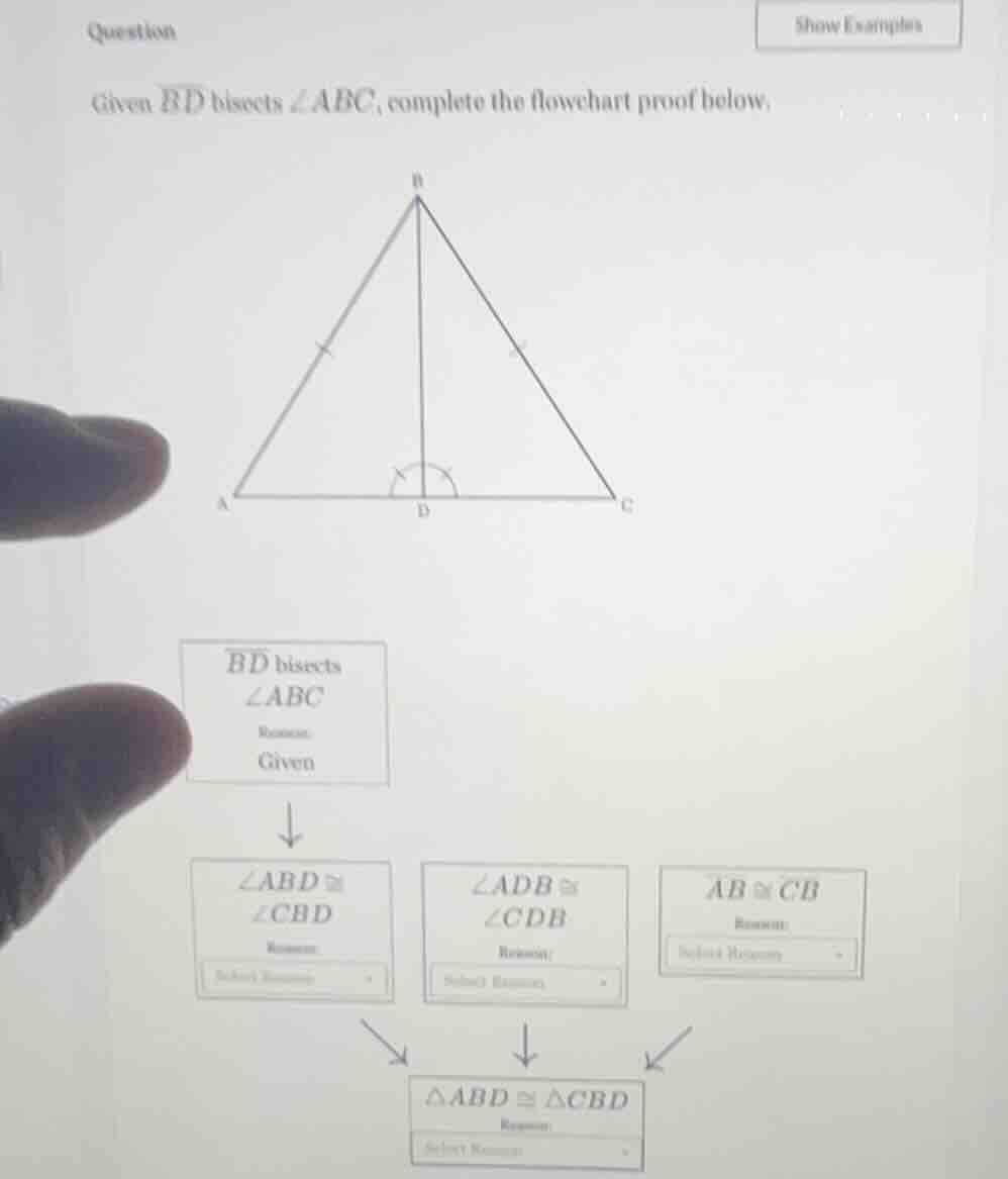 question show examples given (overline{bd}) bisects (angle abc), comple…