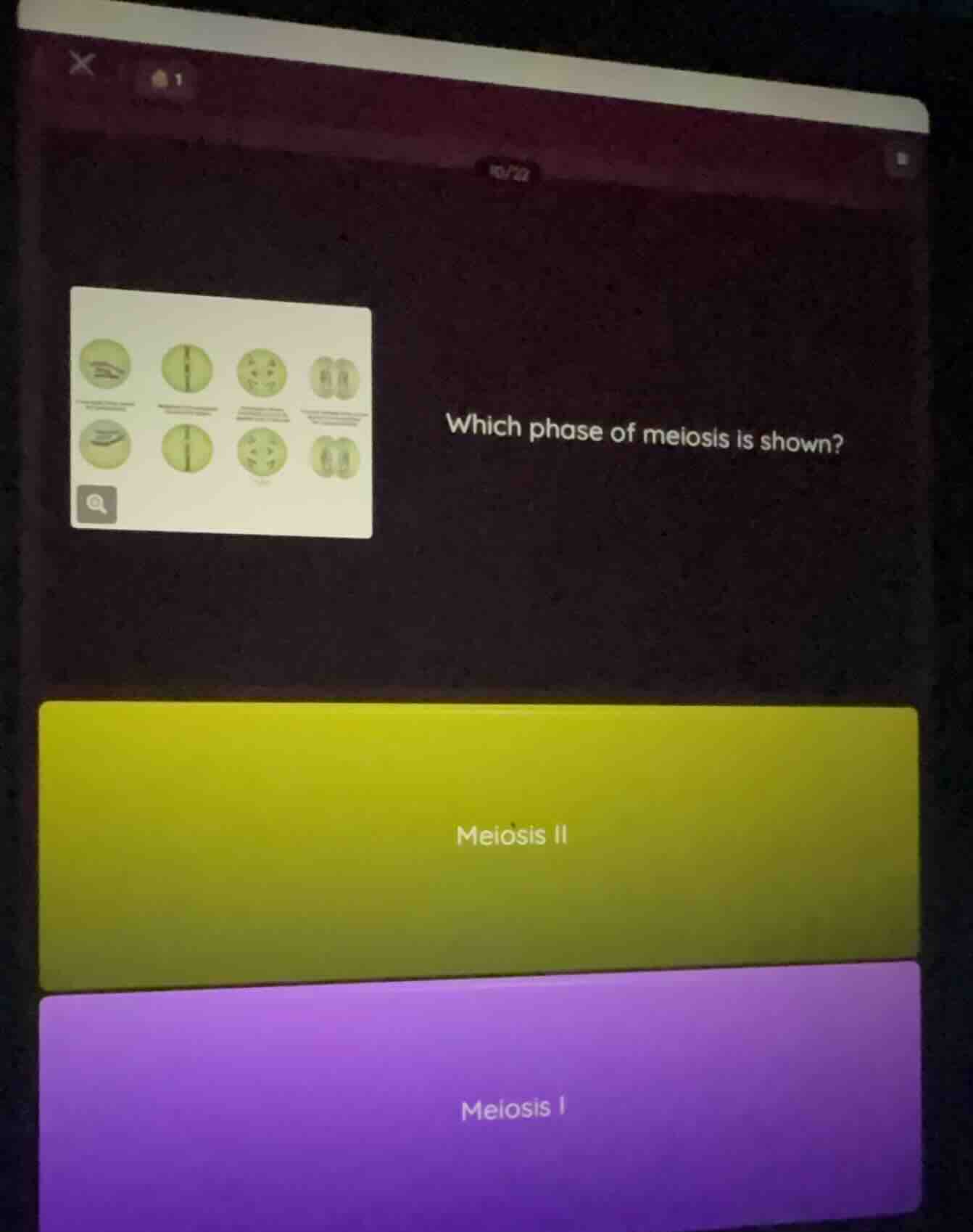 which phase of meiosis is shown? meiosis ii meiosis i