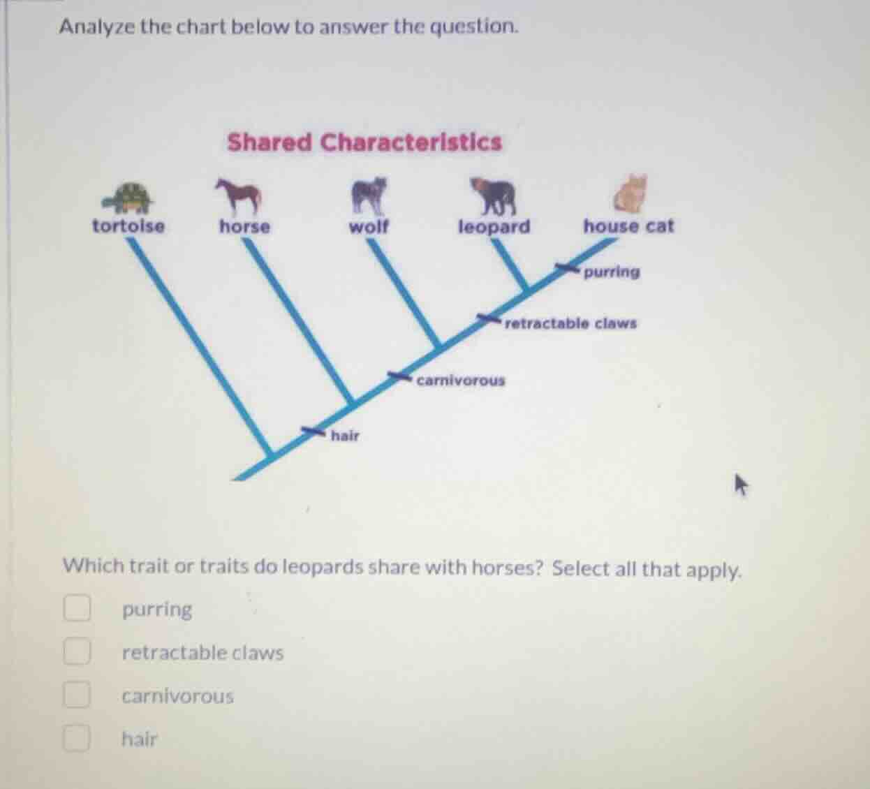 analyze the chart below to answer the question. shared characteristics …