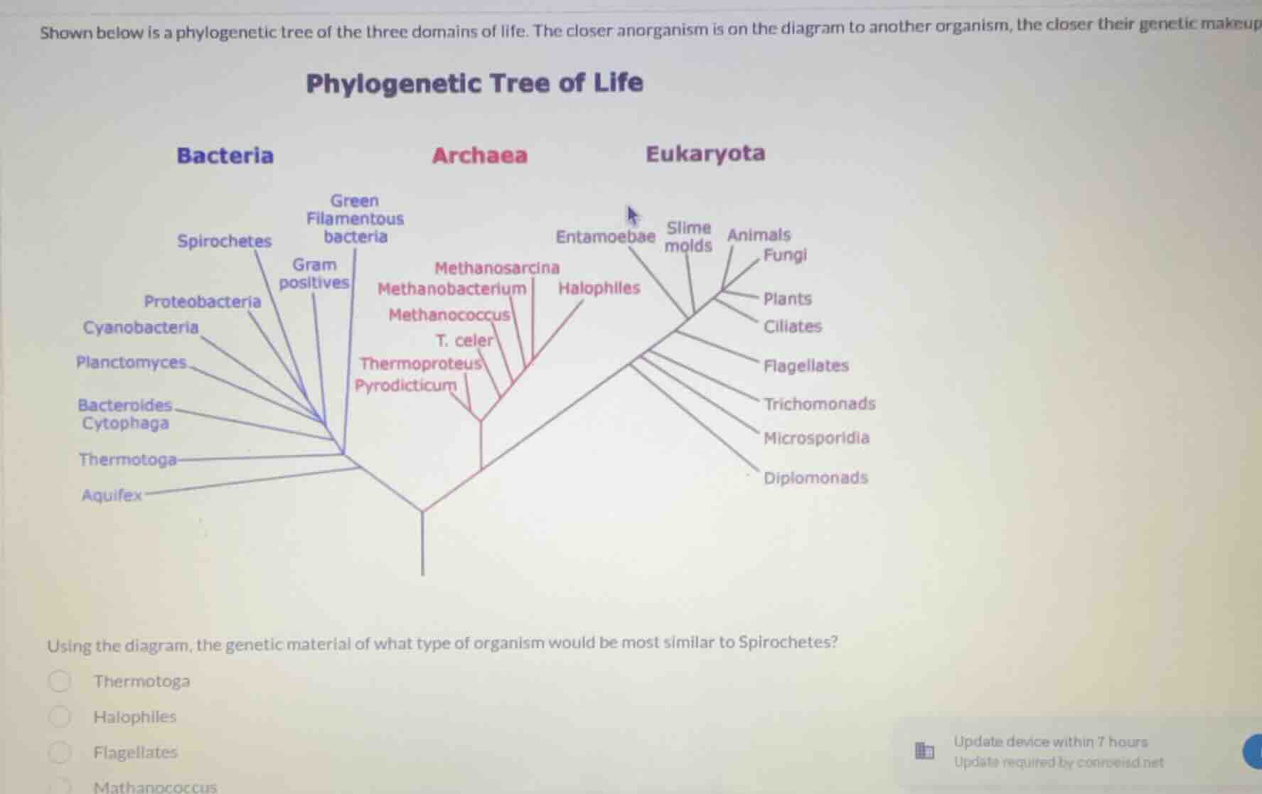 shown below is a phylogenetic tree of the three domains of life. the cl…