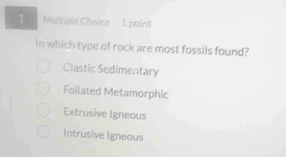 1 multiple choice 1 point in which type of rock are most fossils found?…