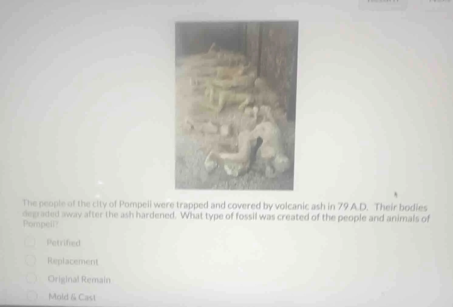 the people of the city of pompeii were trapped and covered by volcanic …