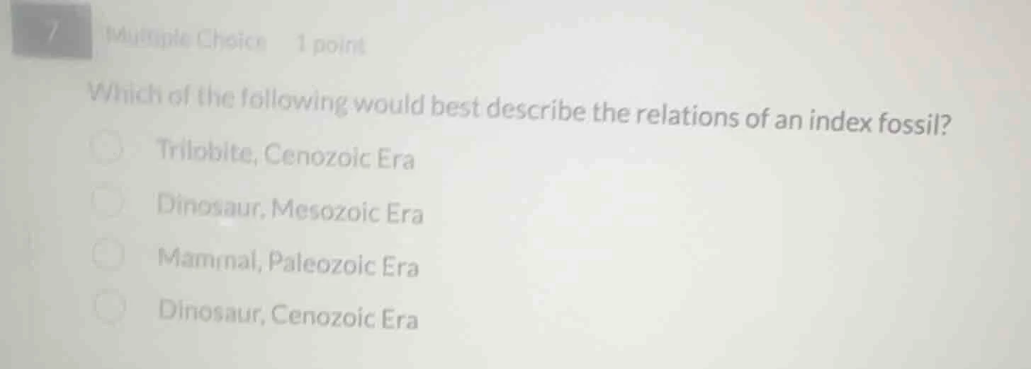 7 multiple choice 1 point which of the following would best describe th…