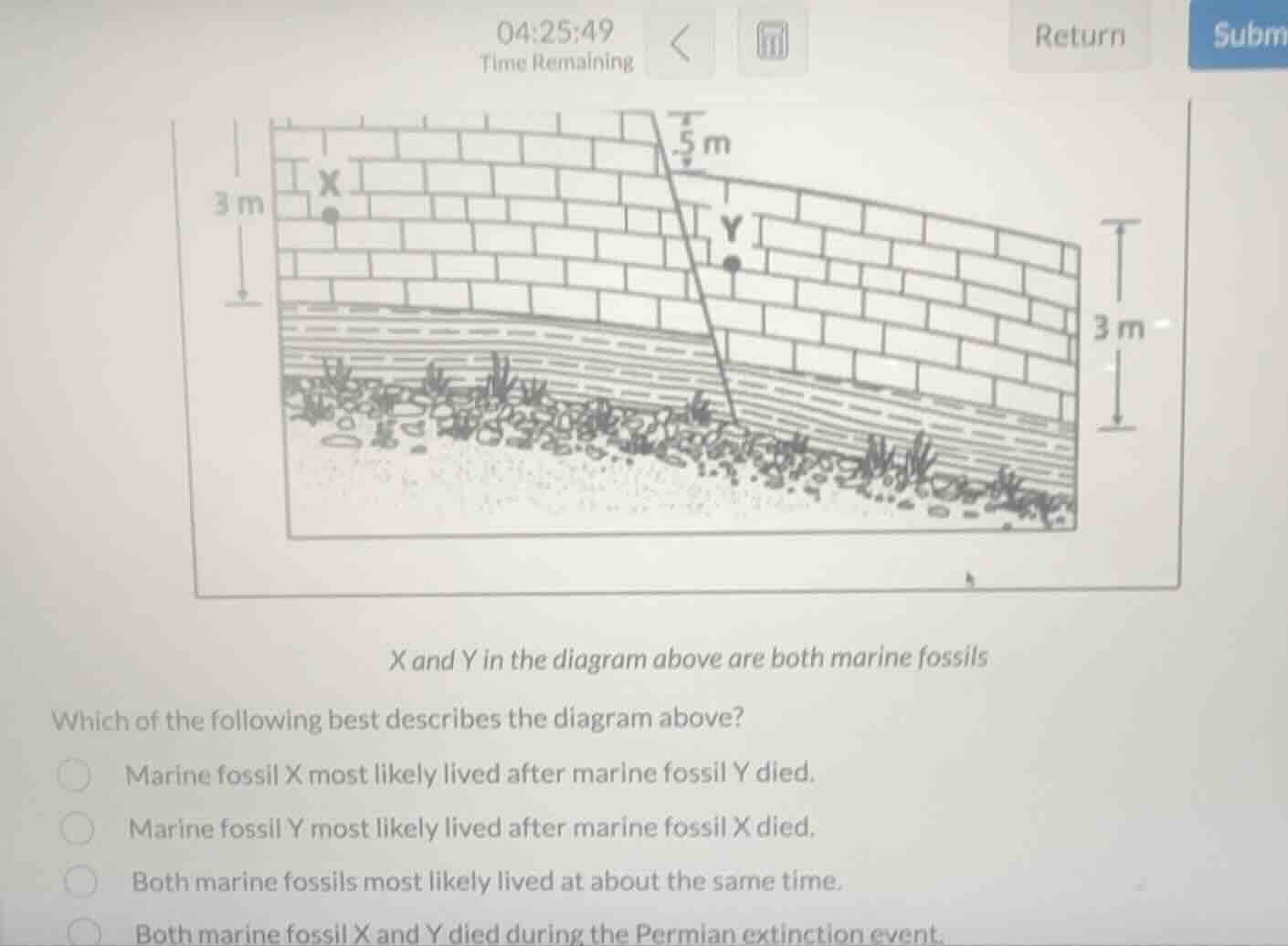 x and y in the diagram above are both marine fossils which of the follo…