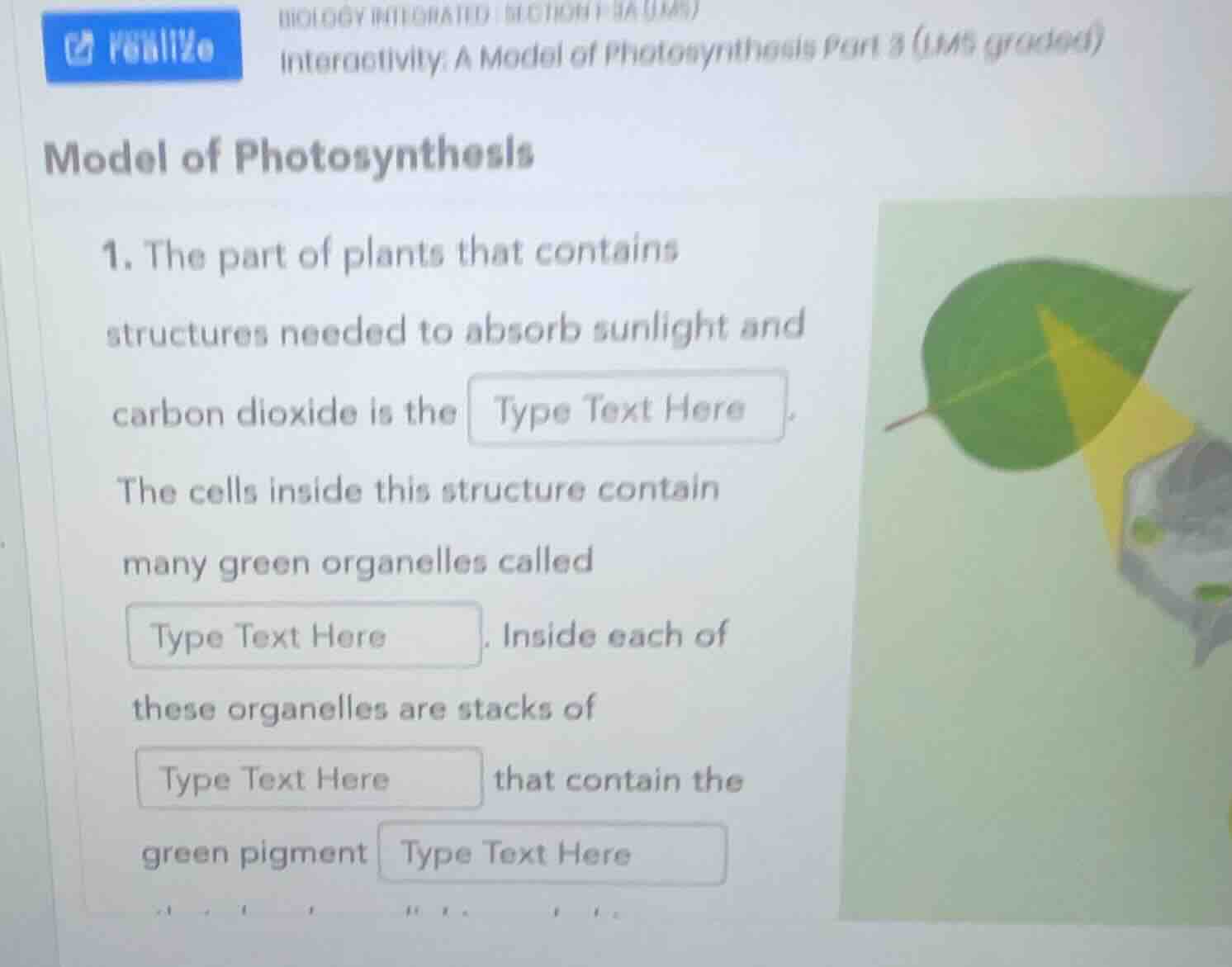 biology integrated i (section 9a um) interactivity: a model of photosyn…