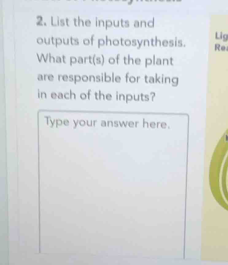 2. list the inputs and outputs of photosynthesis. what part(s) of the p…
