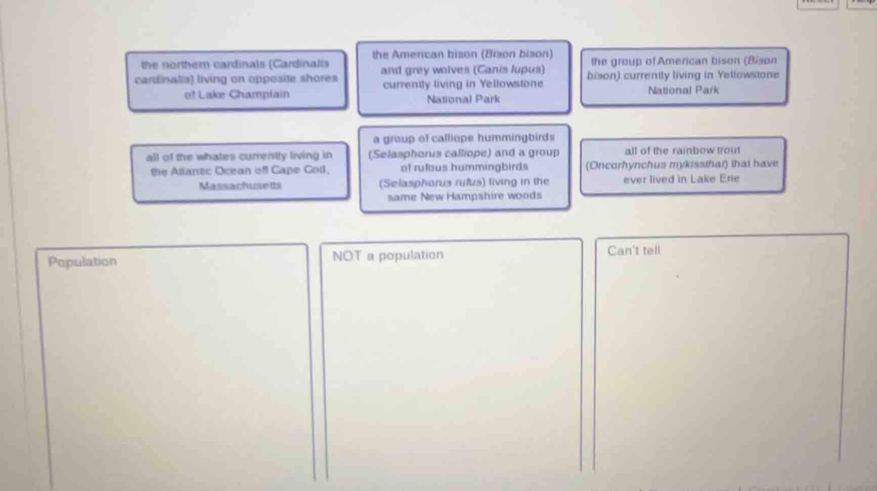 the northern cardinals (cardinalis cardinalis) living on opposite shore…