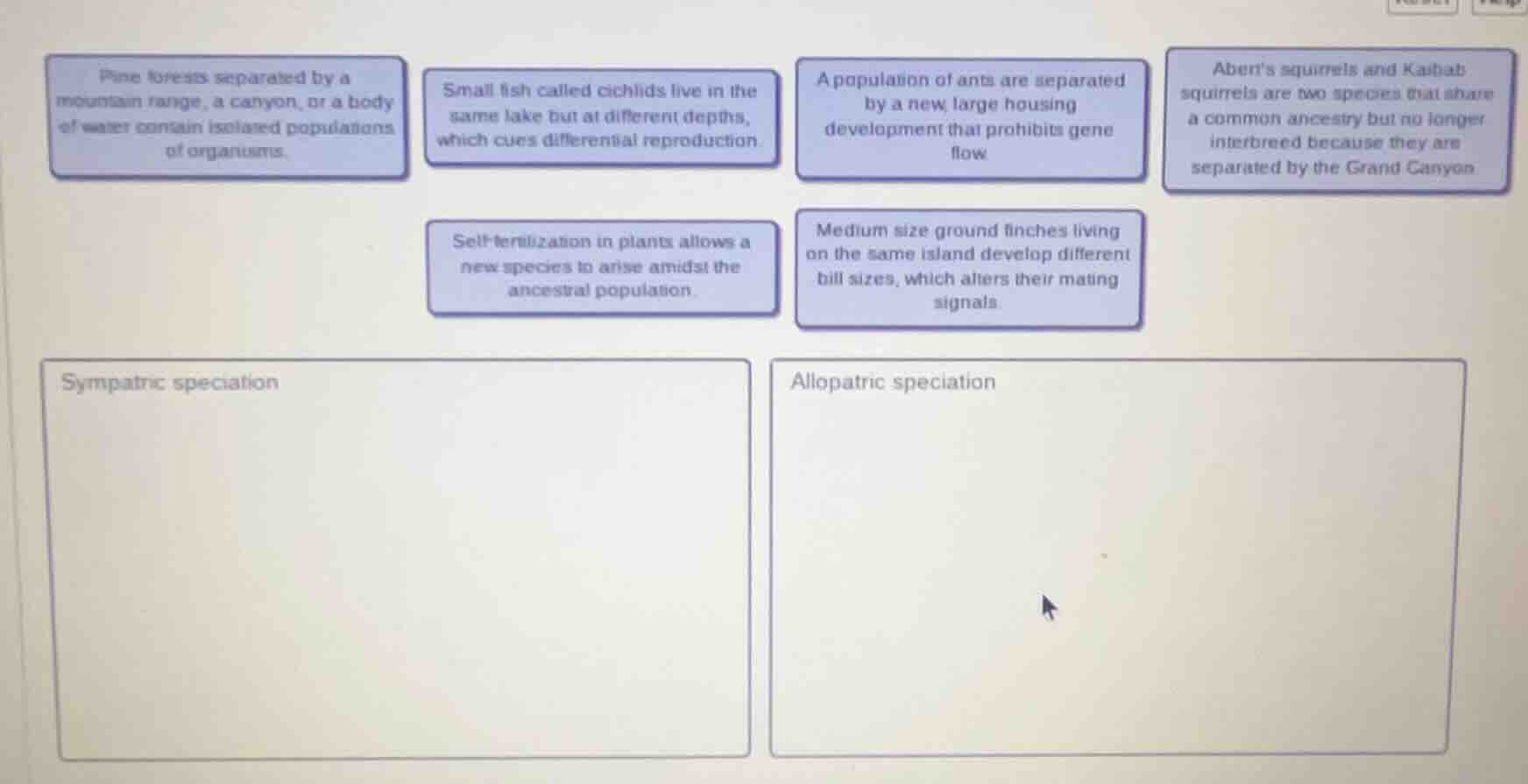 pine forests separated by a mountain range, a canyon, or a body of wate…
