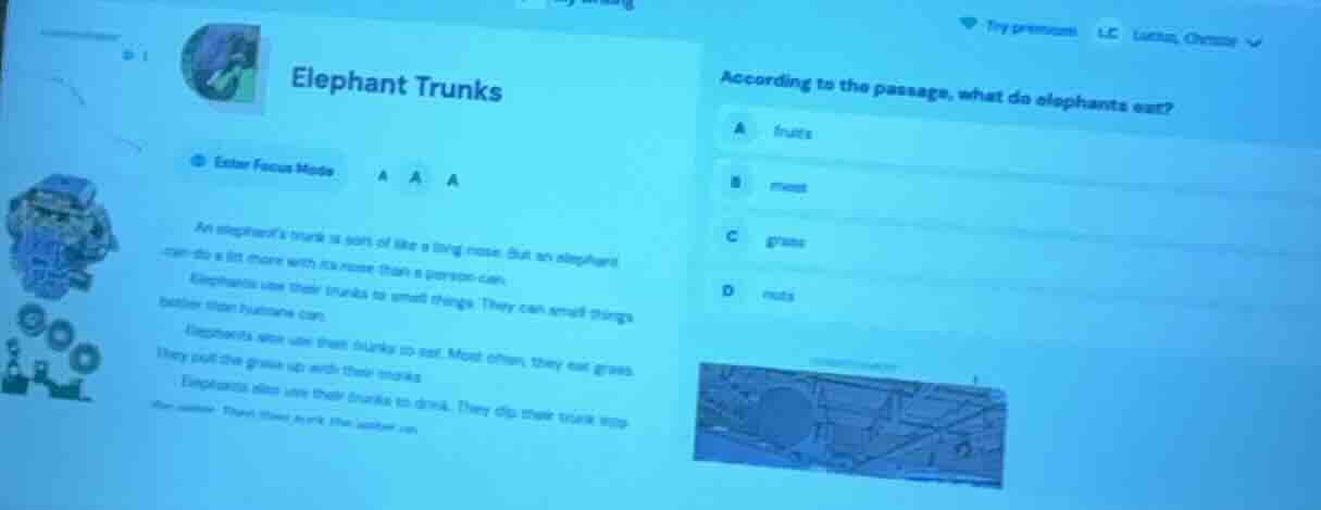 elephant trunks enter focus mode an elephant’s trunk is sort of like a …