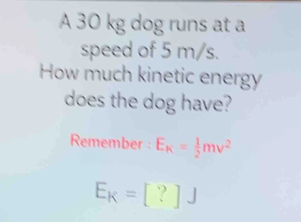 a 30 kg dog runs at a speed of 5 m/s. how much kinetic energy does the …