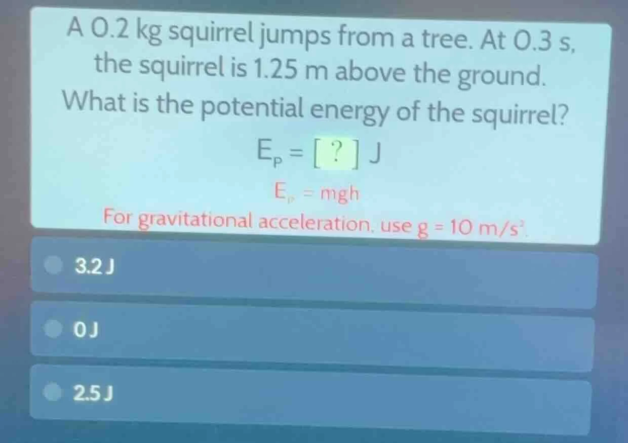 a 0.2 kg squirrel jumps from a tree. at 0.3 s, the squirrel is 1.25 m a…