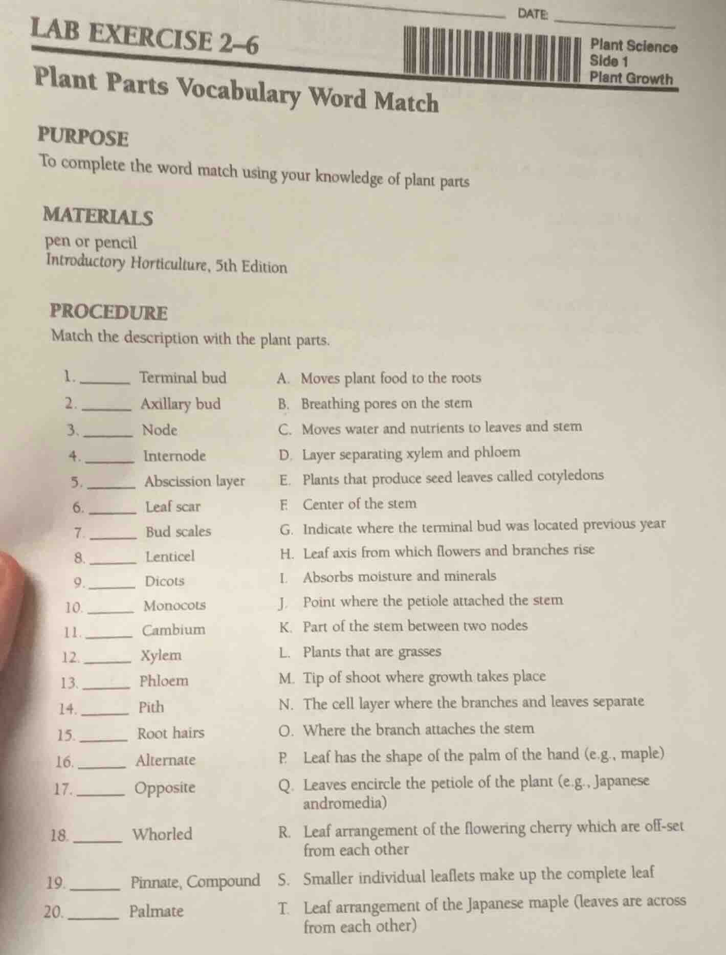 lab exercise 2–6 plant parts vocabulary word match purpose to complete …