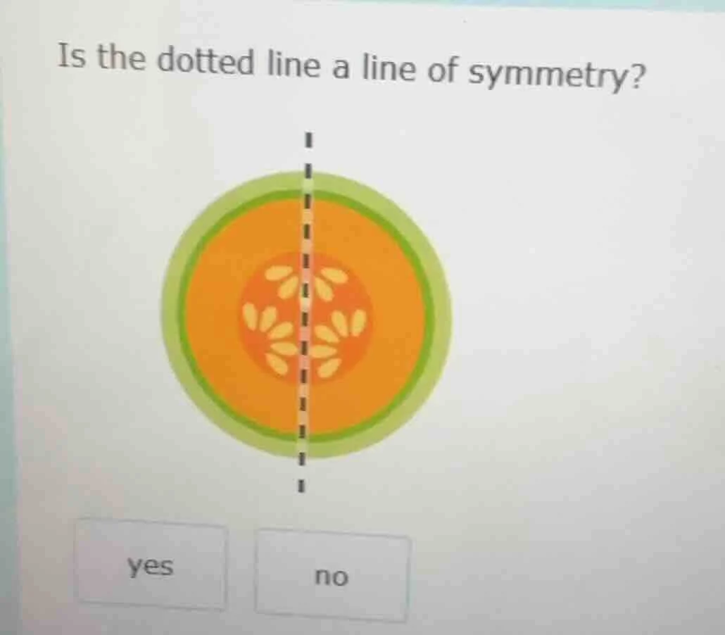 is the dotted line a line of symmetry? yes no
