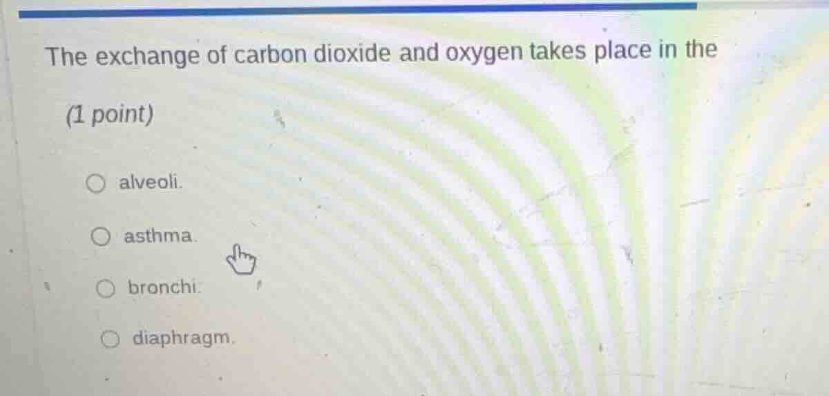 the exchange of carbon dioxide and oxygen takes place in the(1 point)al…