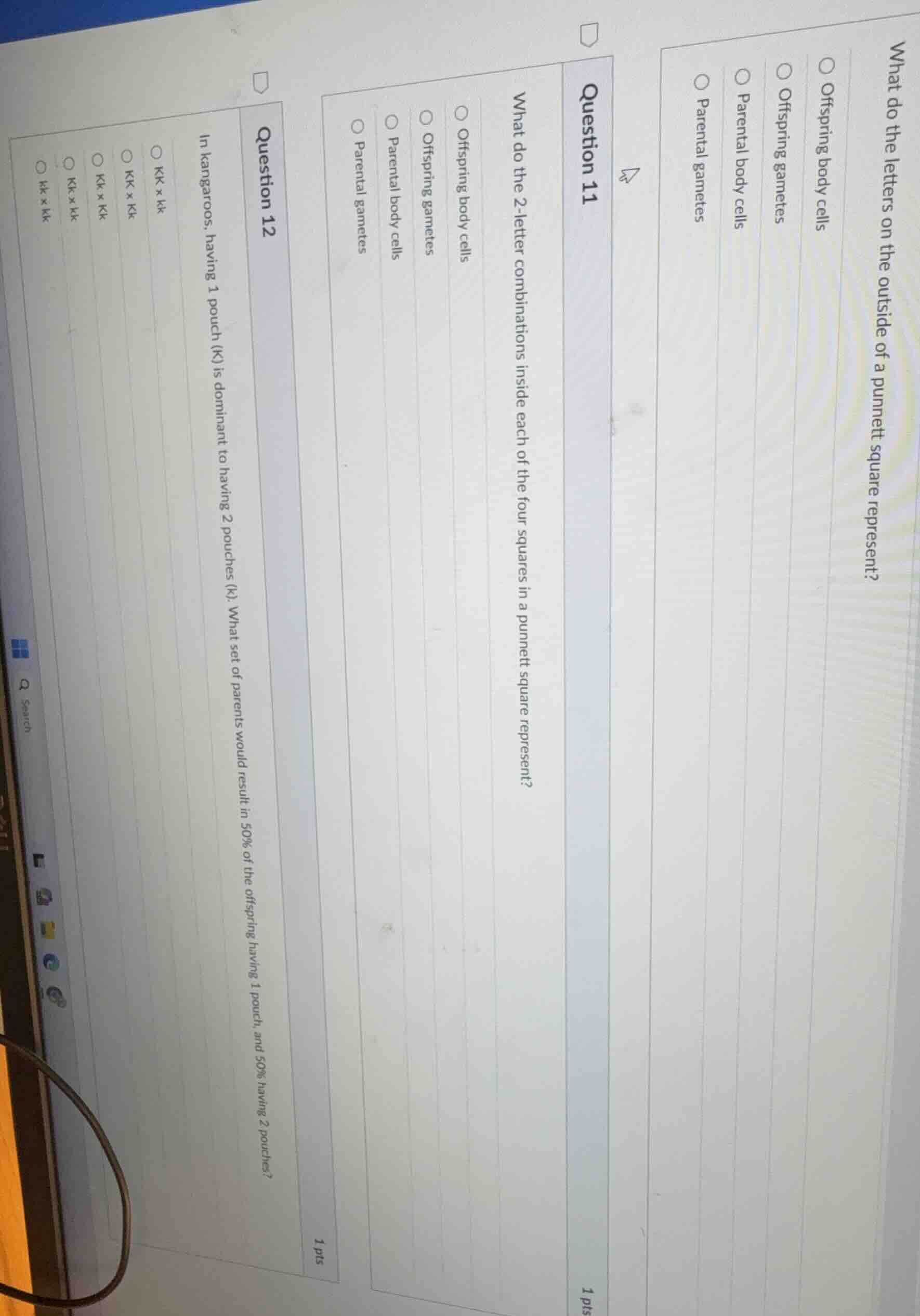 what do the letters on the outside of a punnett square represent? offsp…