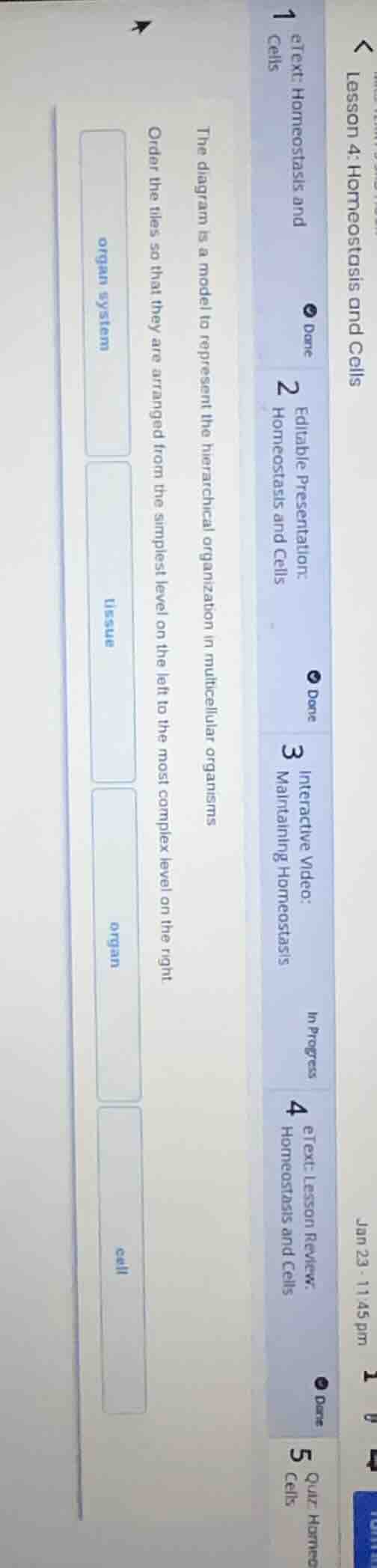 the diagram is a model to represent the hierarchical organization in mu…