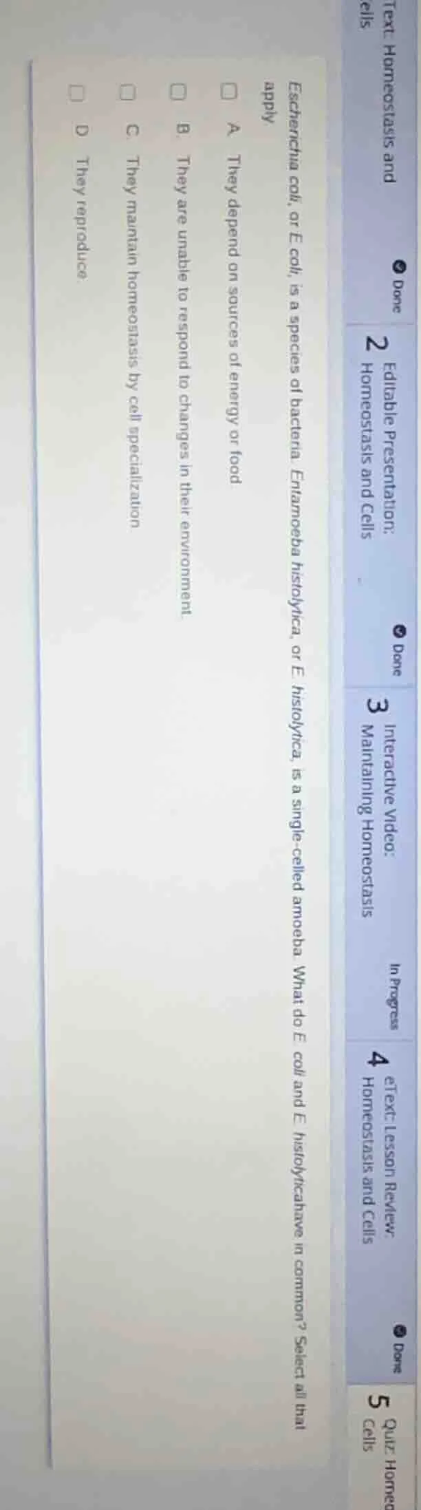 escherichia coli, or e. coli, is a species of bacteria. entamoeba histo…