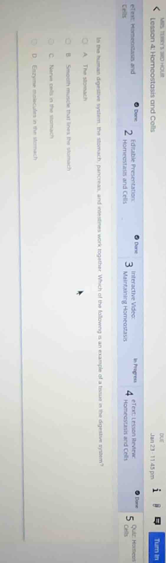 in the human digestive system, the stomach, pancreas, and intestines wo…