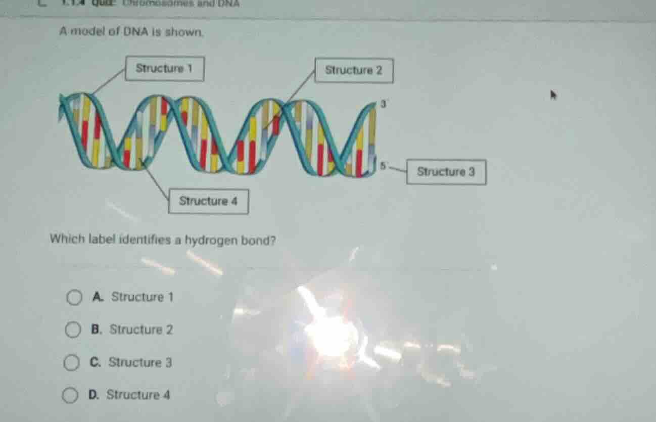 a model of dna is shown. which label identifies a hydrogen bond? a. str…