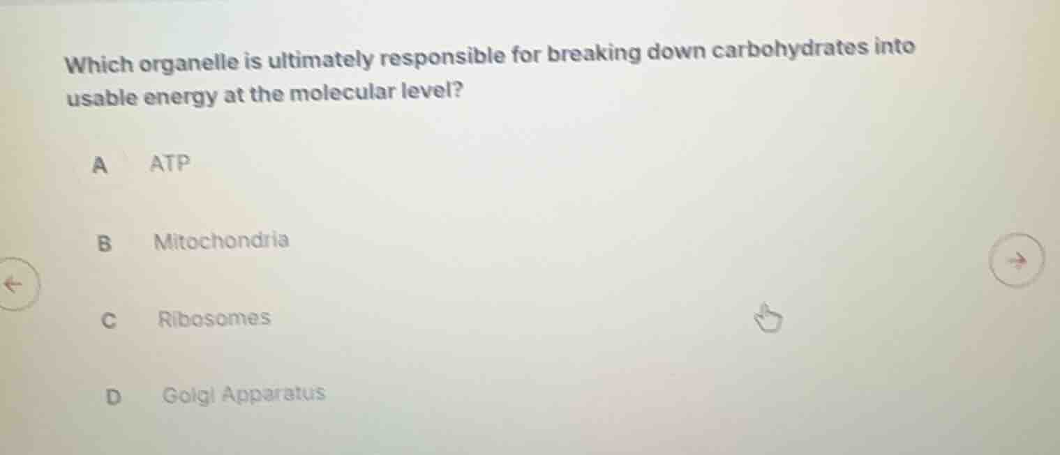 which organelle is ultimately responsible for breaking down carbohydrat…