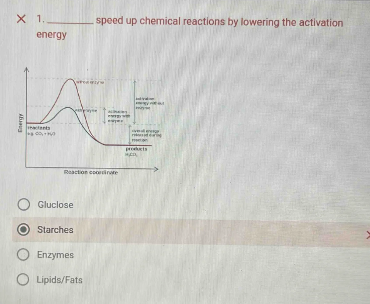 1. ______ speed up chemical reactions by lowering the activation energy…