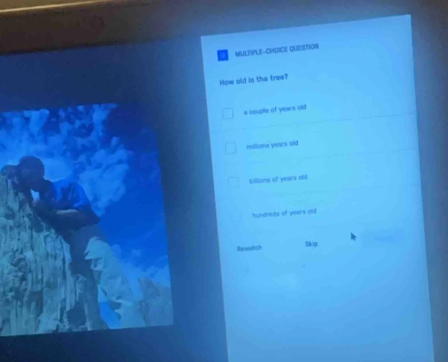 multiple-choice question how old is the tree? a couple of years old mil…